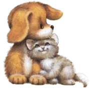 a cute puppy and a kitten 